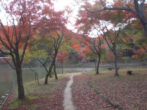 茨城県紅葉名所⑥家族で散策がおすすめ！北山公園