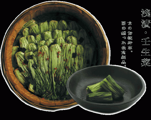 京都漬物ランキング④壬生菜～くせのない日常使いのお漬物～