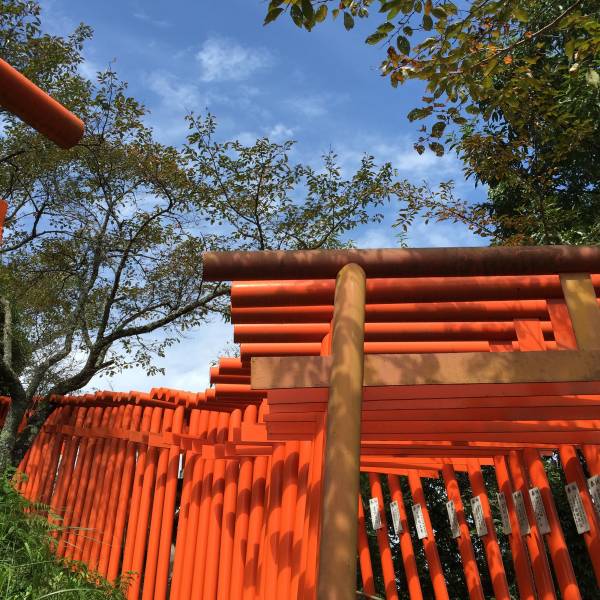 これぞ大分県の名所ランキング★地元民おすすめ10選 扇森稲荷神社