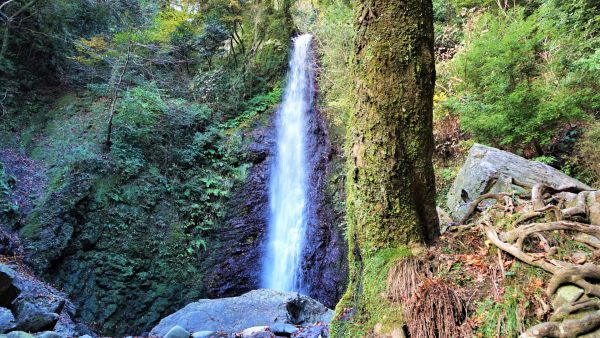 岐阜県パワースポットランキング③パワースポットを語るには外せない、超有名な滝！養老の滝