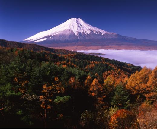 富士山絶景撮影ポイント④朝焼けと紅葉のダブルコンボが最強！二十曲峠広場