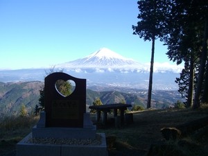 富士山絶景撮影ポイント⑩恋人と見れば良いことがあるかも！？白鳥山森林公園