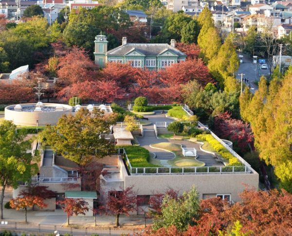 神戸紅葉名所③桜の紅葉を楽しめる“王子動物園”