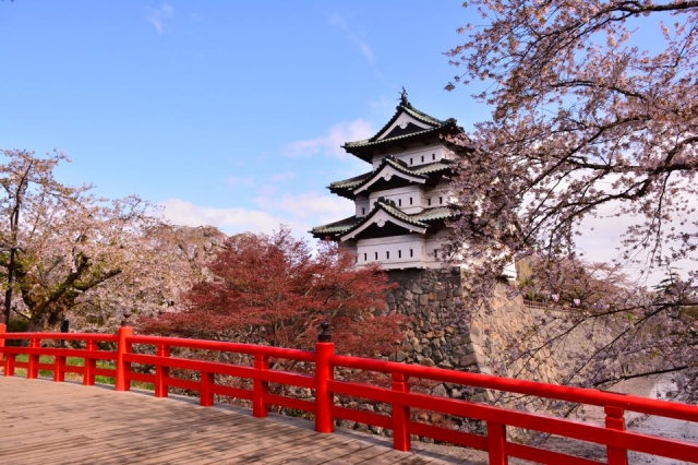 青森県デートスポットランキング②日本一綺麗な桜の名所！弘前城