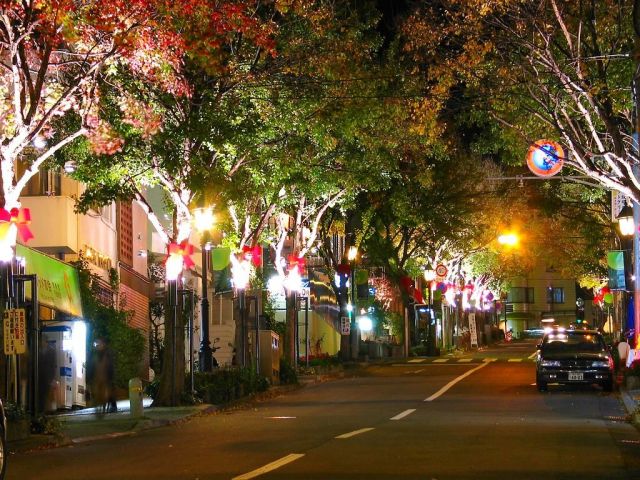 ⑩冬の神戸を彩るイルミネーション“北野クリスマスストリート”