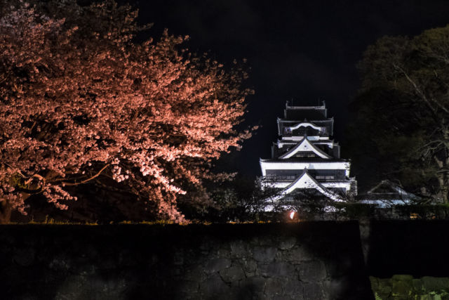 ⑨桜の名所でもある熊本城