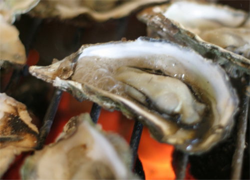 能登半島牡蠣料理ランキング⑨のと牡蠣を手がけて65年の老舗！盛ちゃん