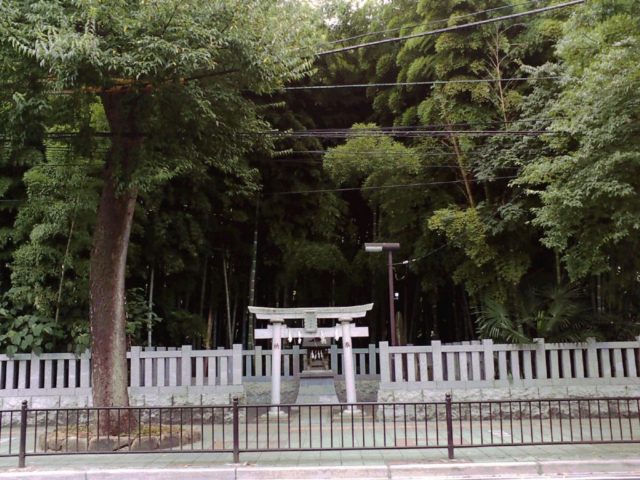 千葉県最強危険心霊スポット⑤街の中心に不気味な「八幡の藪知らず」