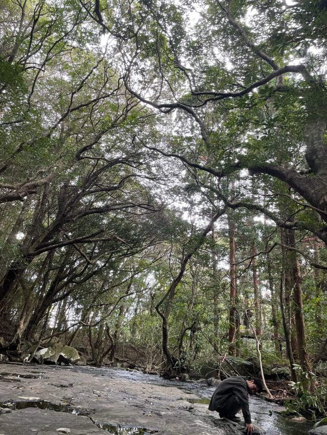 屋久島の変わったパワースポット⑤マイナスをプラスに変える力滝之川の一枚岩